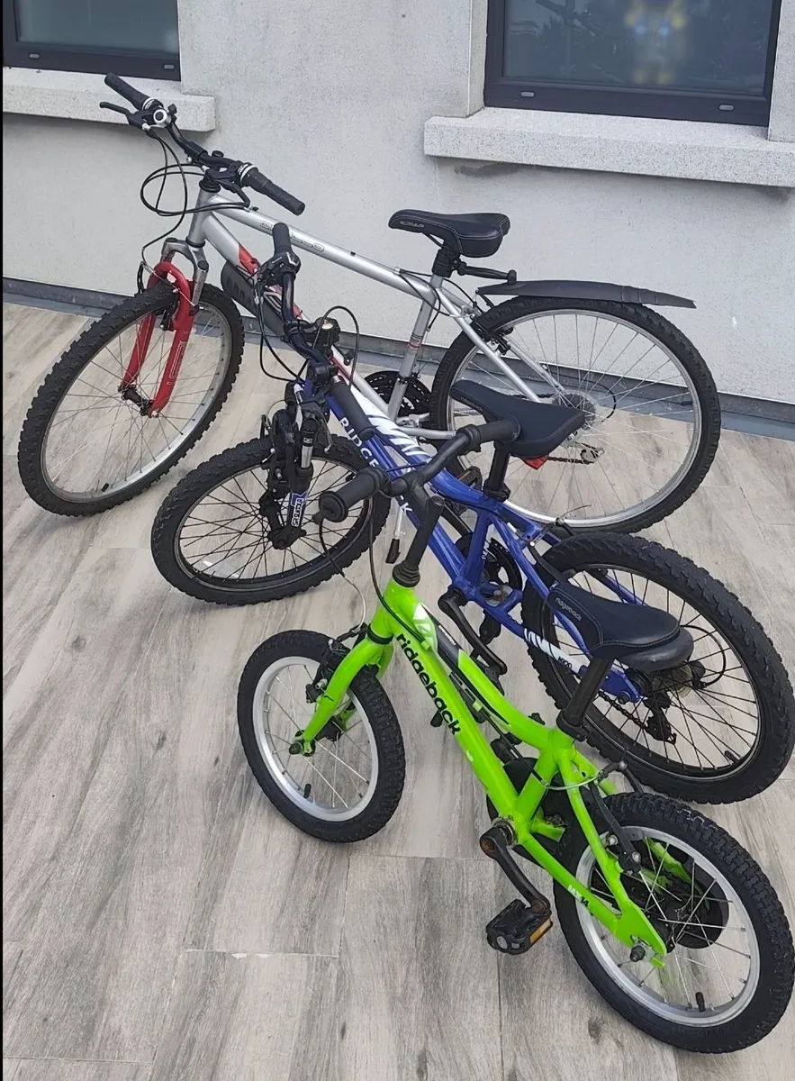 Bikes; Children and Teen / Adult (14, 20, 26 inch) - Image 1