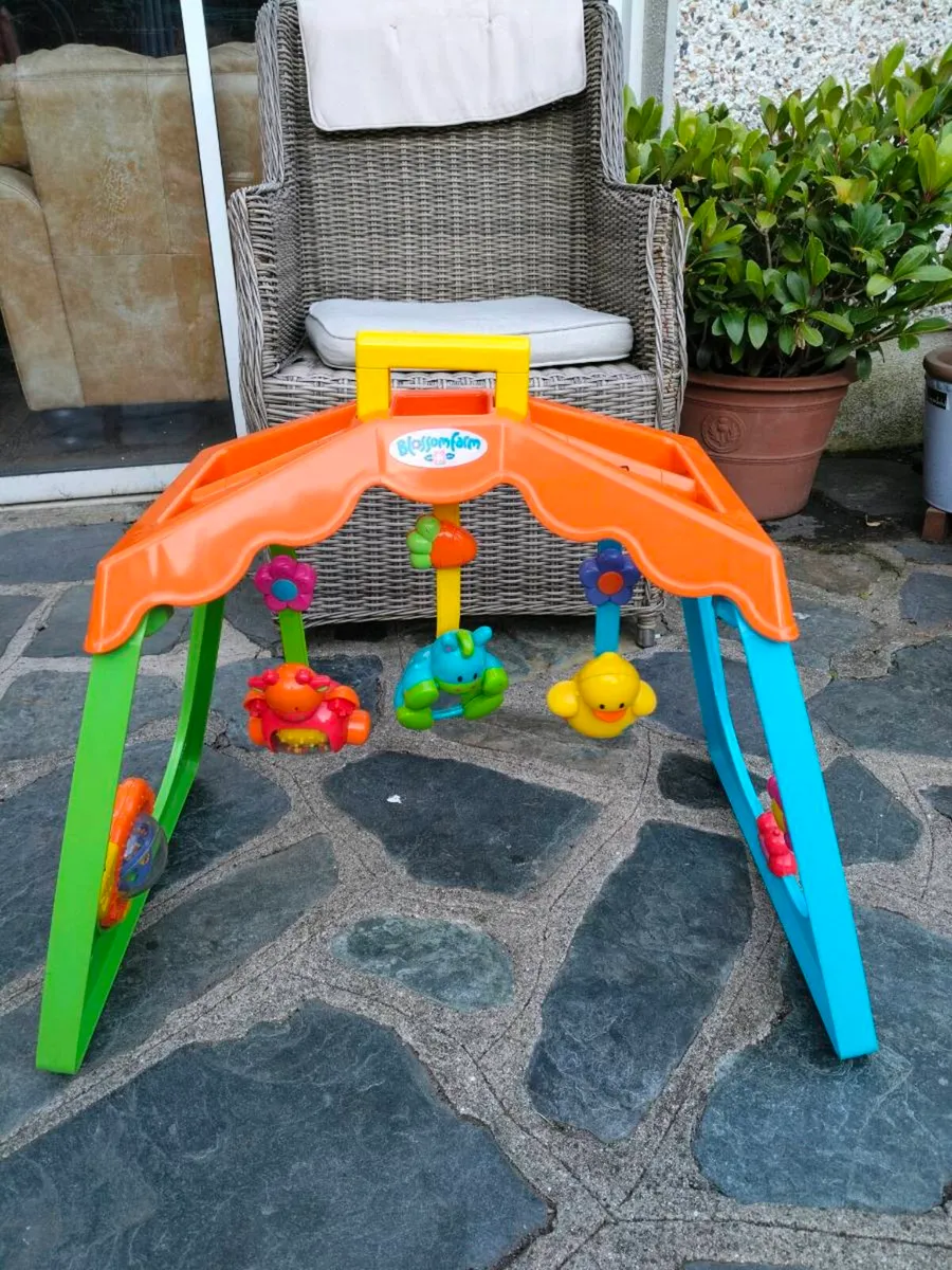 Blossom Farm Baby Play Arch is a plastic activity - Image 1