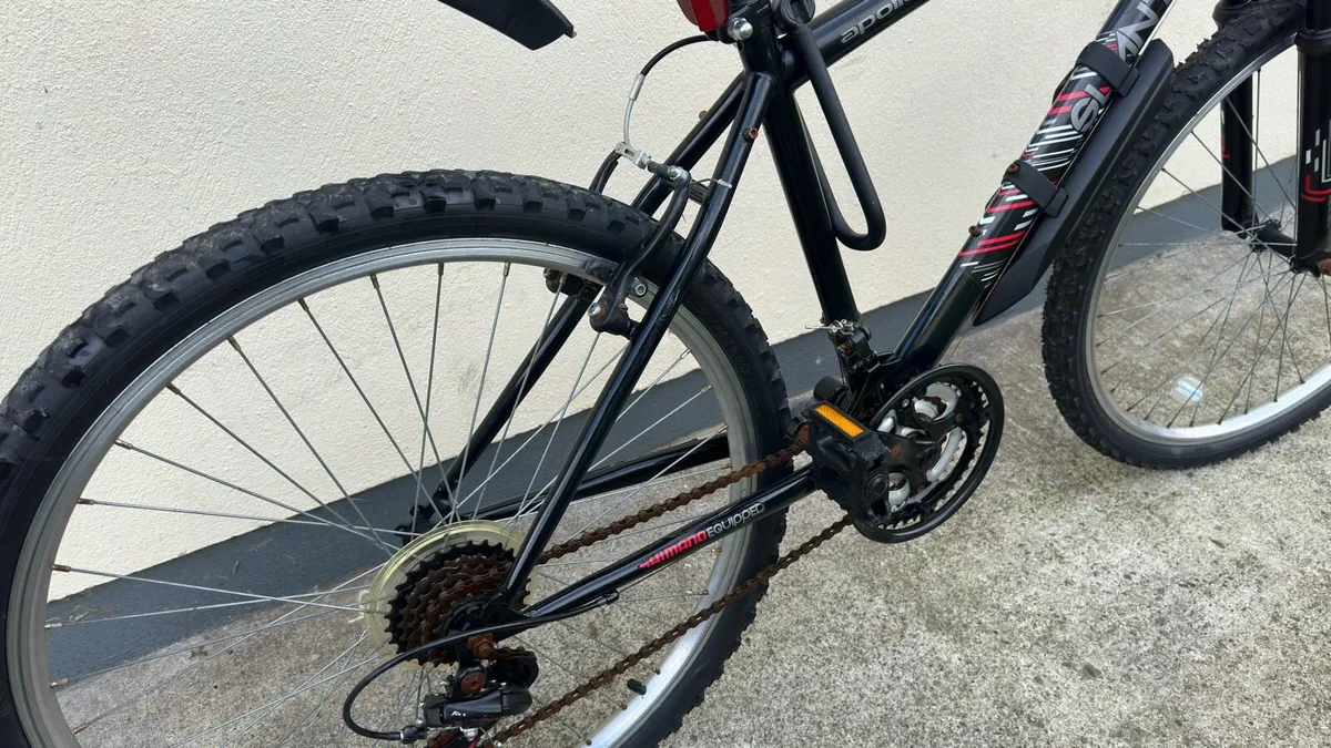 Apollo mountain bike - Image 3