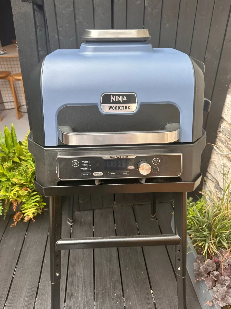 Ninja BBQ - Image 1