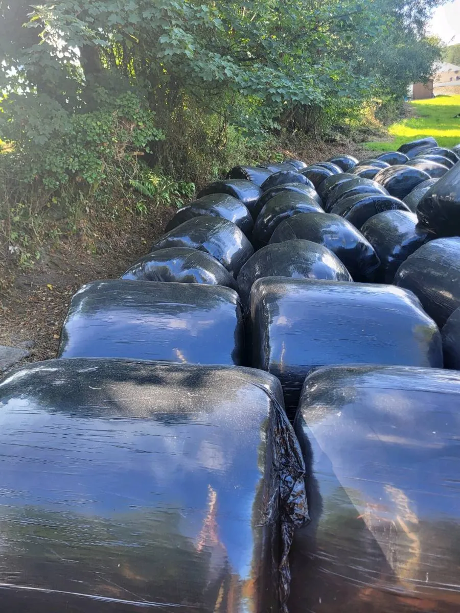 100 Bales dry Silage - Image 1