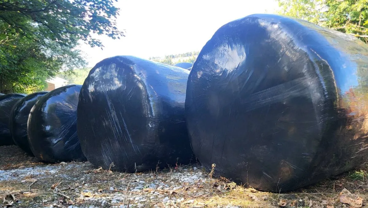 100 Bales dry Silage - Image 2