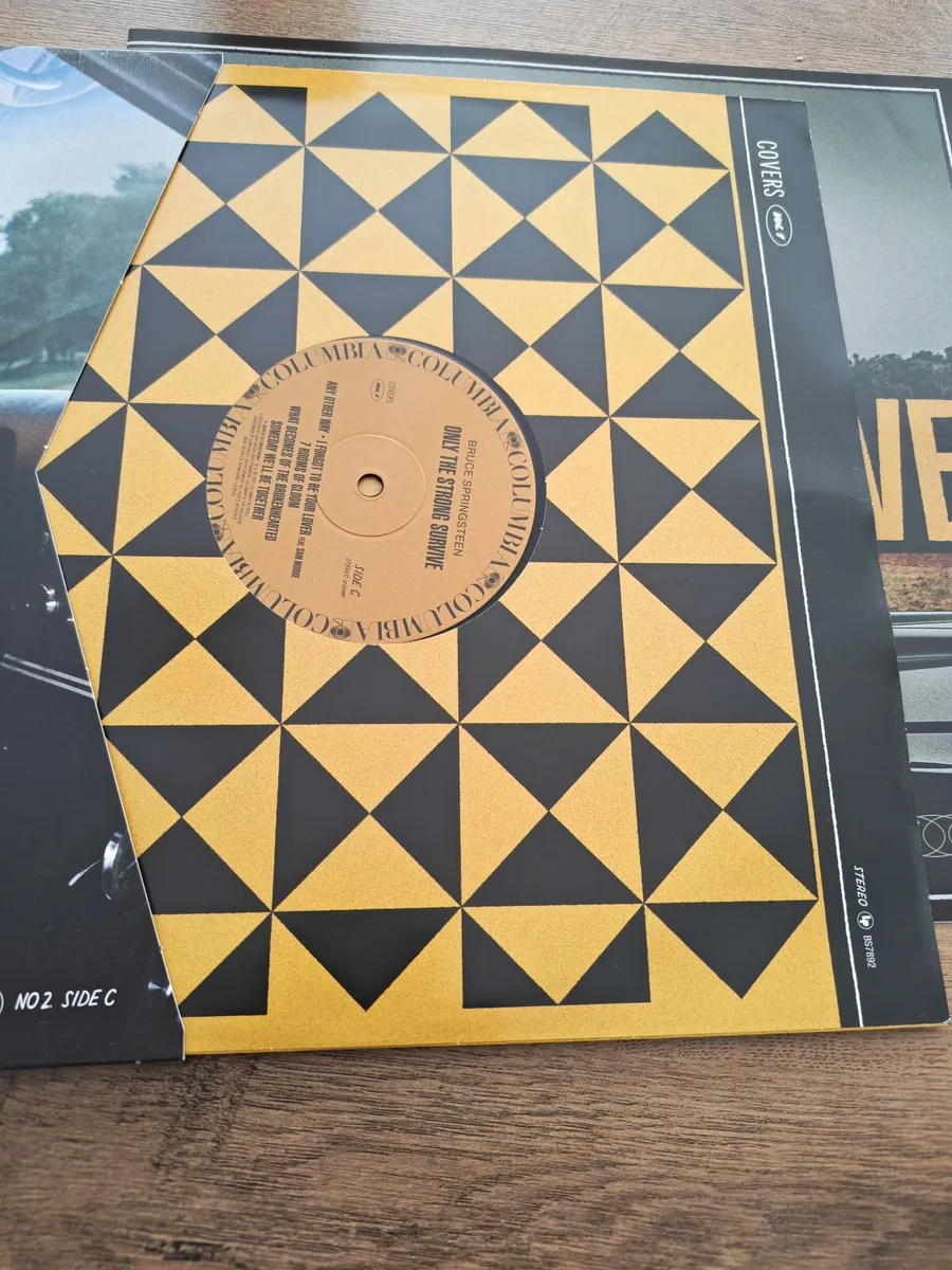 Vinyl double Record - Image 2
