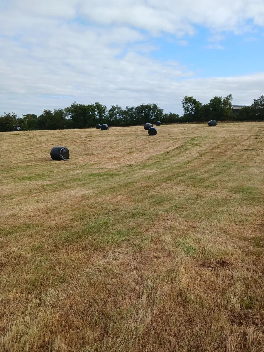 Sillage bales - Image 2