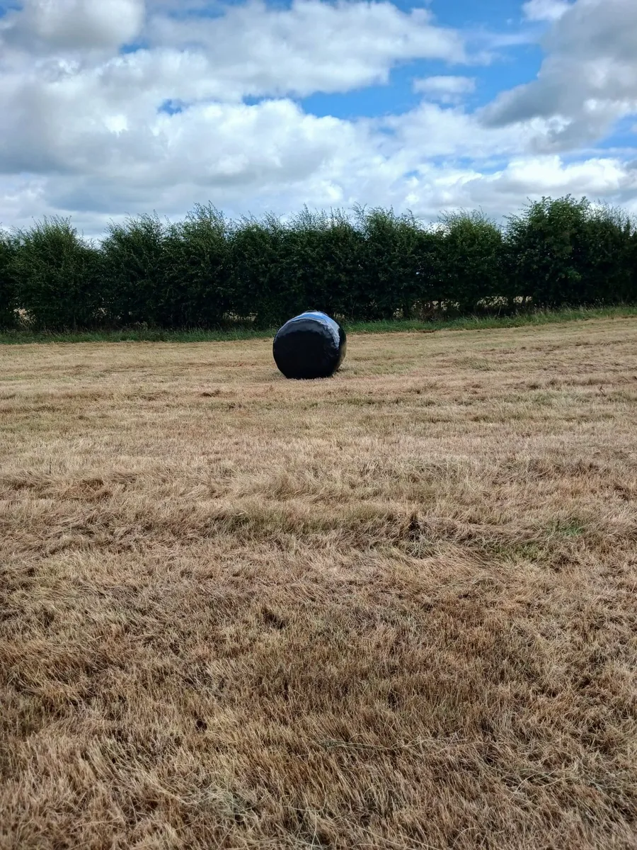 Sillage bales - Image 1