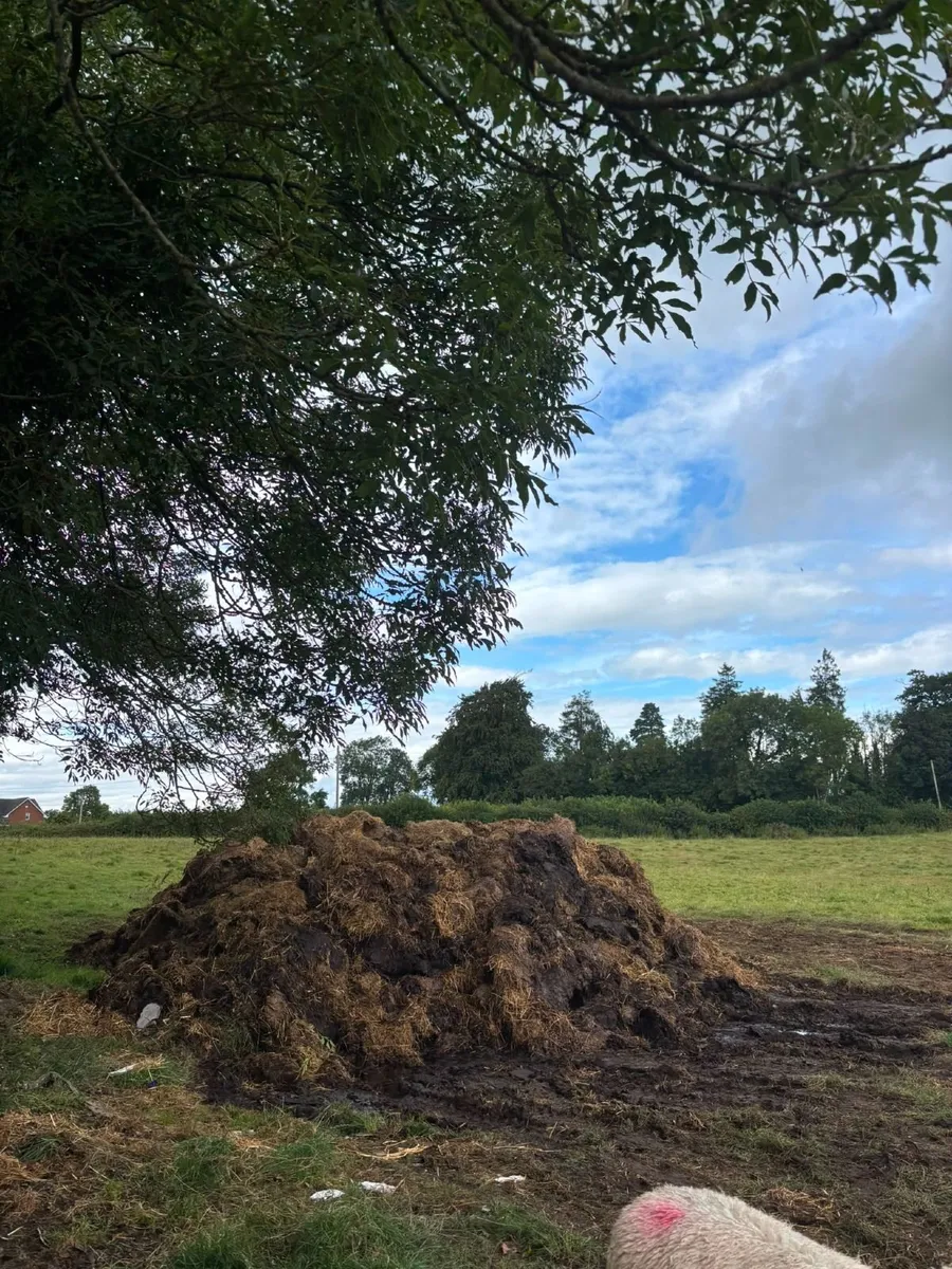 Farmyard Manure - Image 3