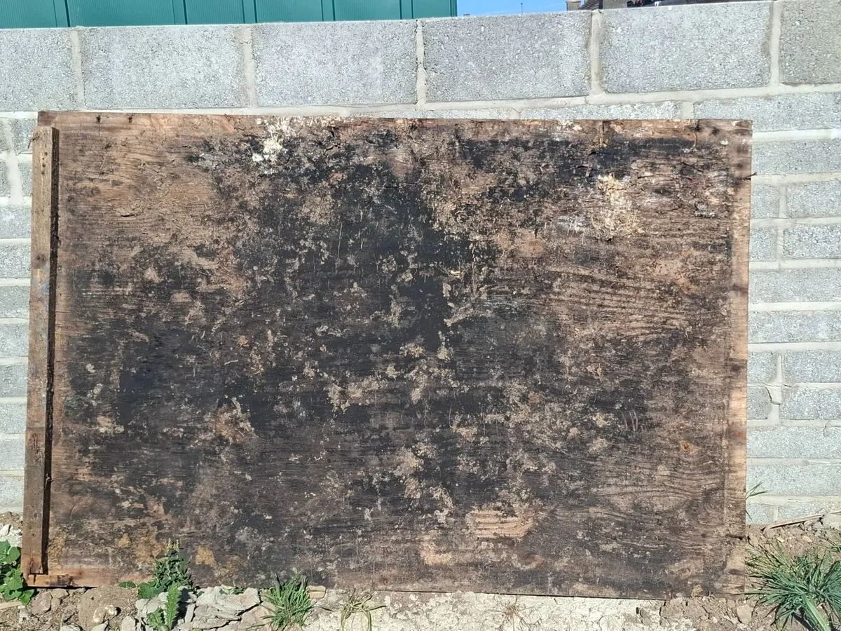 Timber - Image 2