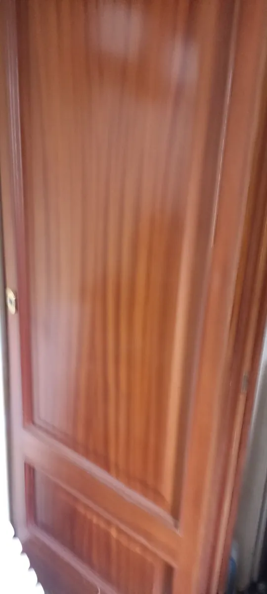Two Panel Mahogany Veneer Doors - Image 1