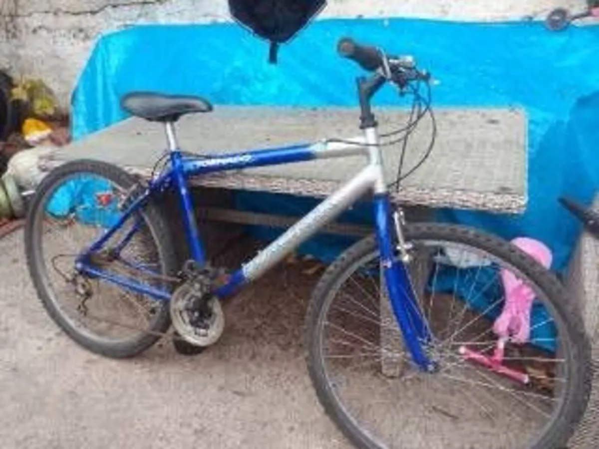 adult bike for sale - Image 2
