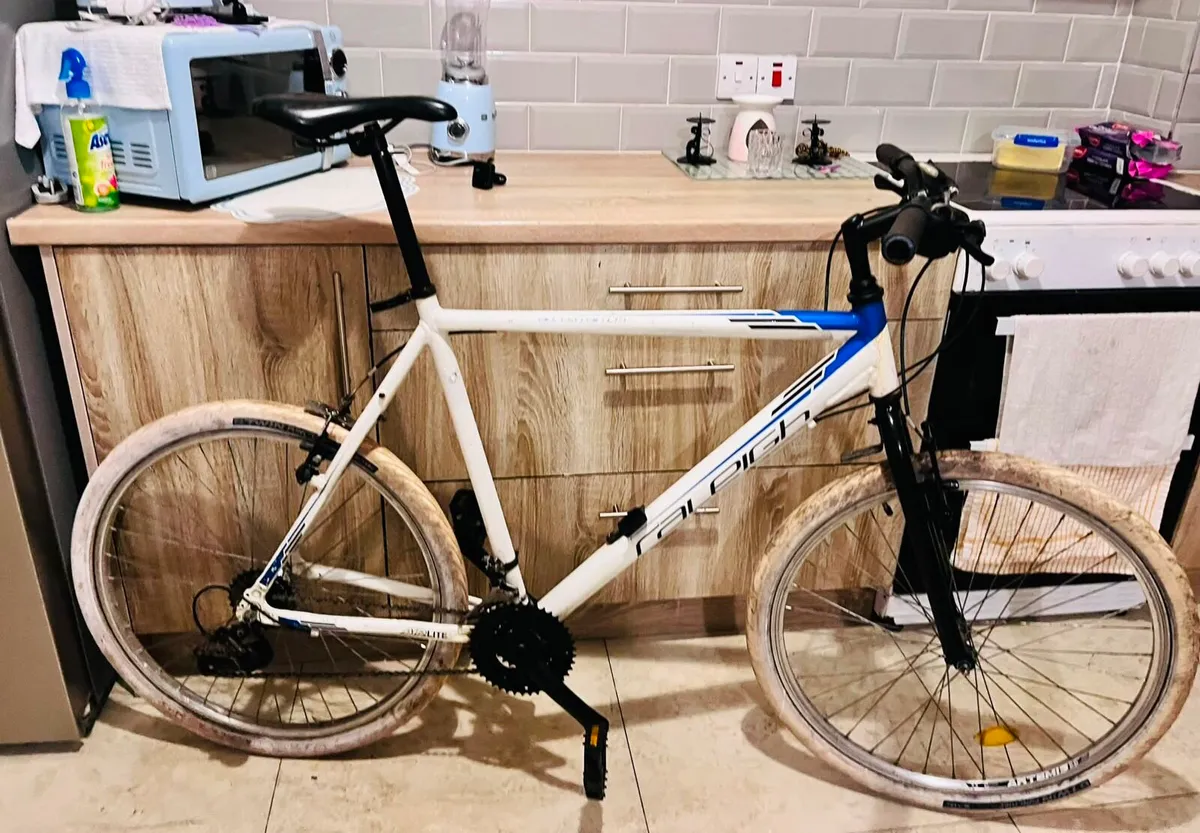 ADULTS RALEIGH BIKE BRAKES AND GEARS ARE WORKING P - Image 2