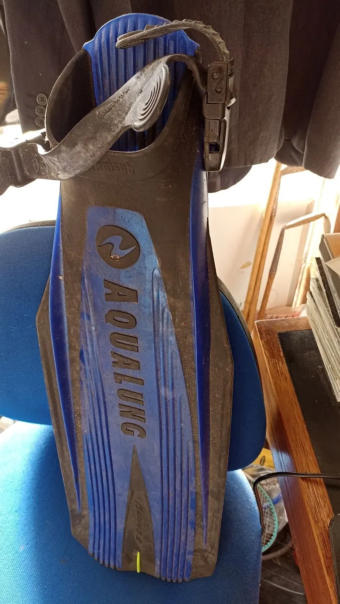 Pair of Aqualung Flippers - Image 2