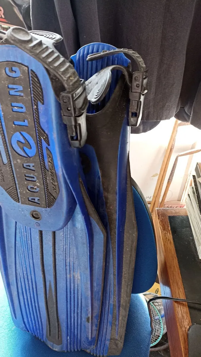 Pair of Aqualung Flippers - Image 3