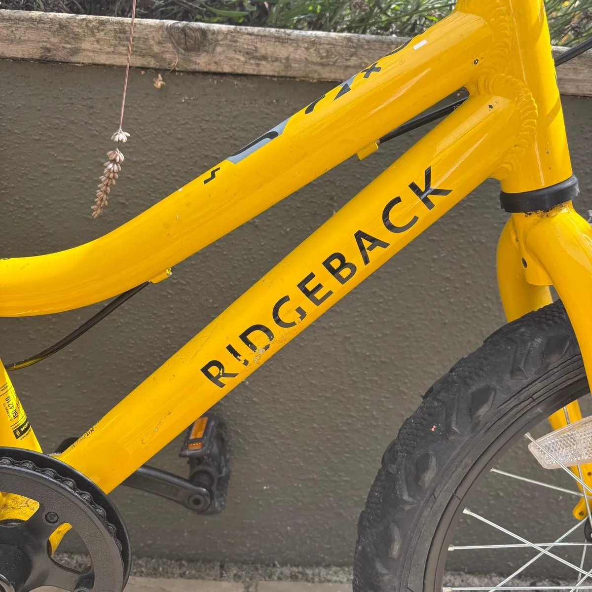 Ridgeback MX16 Kids Bike 16-inch - Image 2
