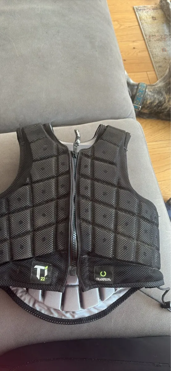 Champion Horse riding back protector - Image 1