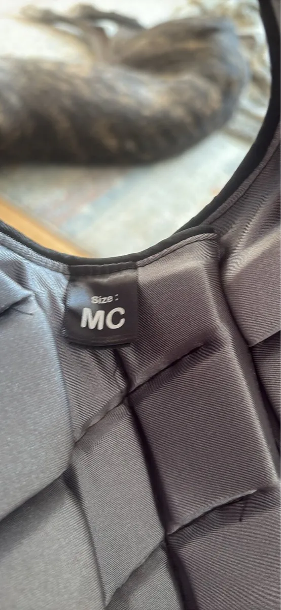Champion Horse riding back protector - Image 2