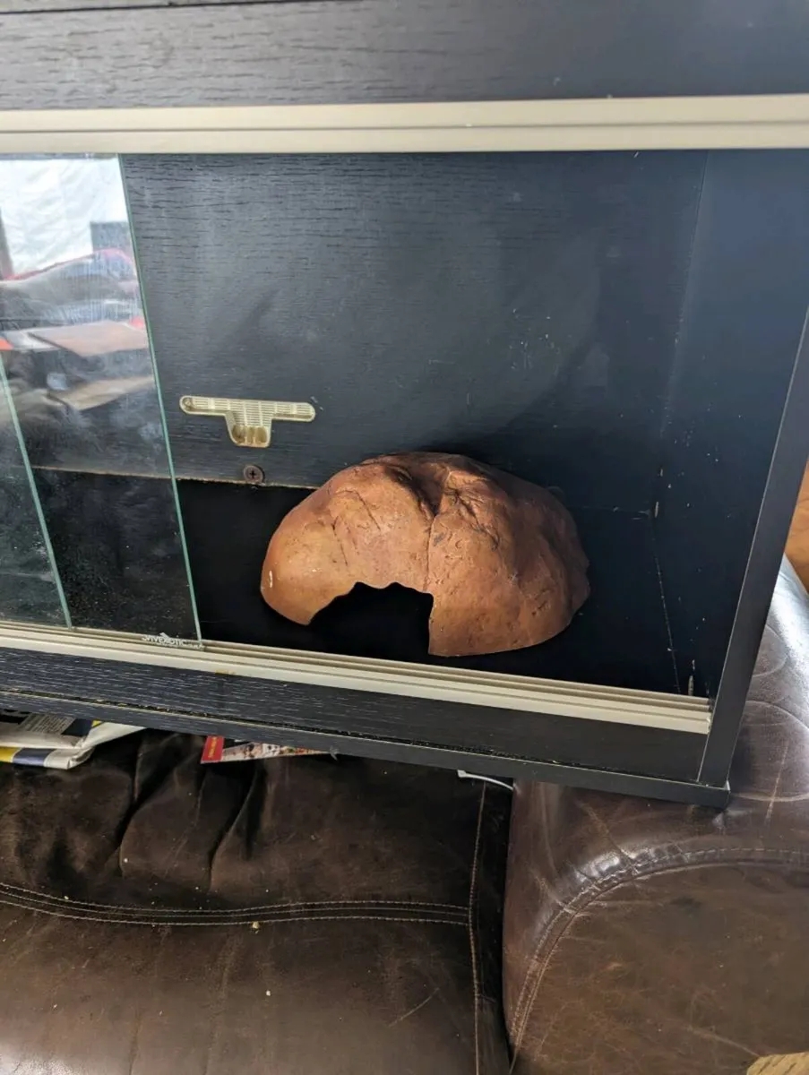 Vivarium - Image 2