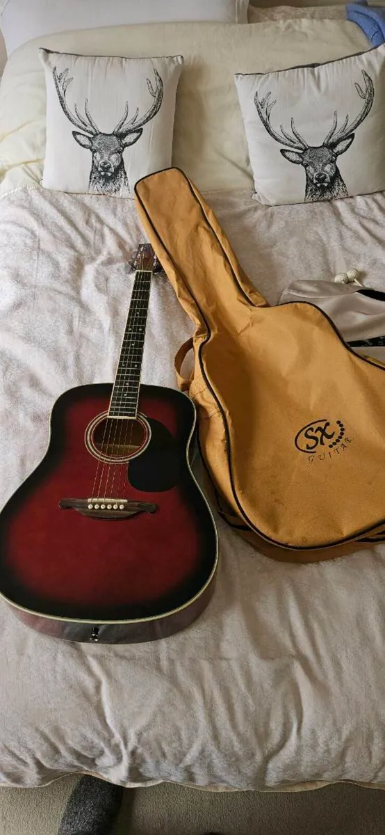 Acoustic guitar