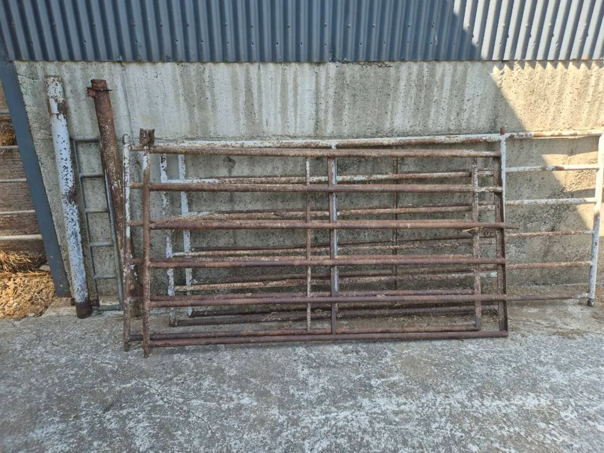 4 Iron Gates - Image 2