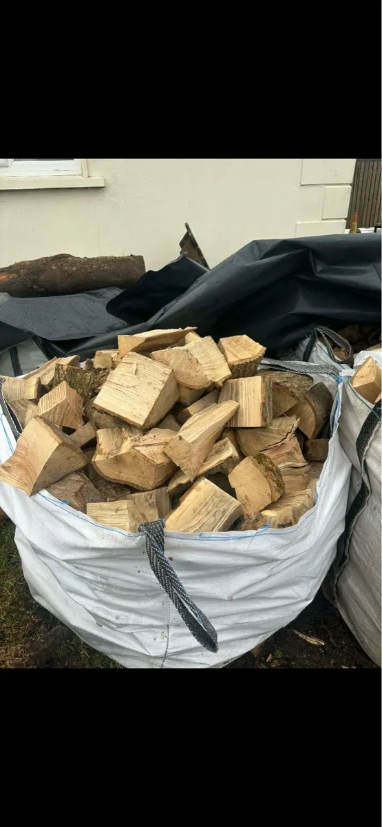 Ash timber - Image 1