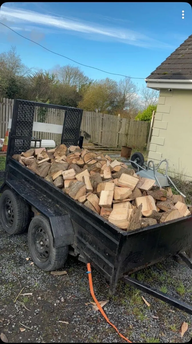Ash timber - Image 2