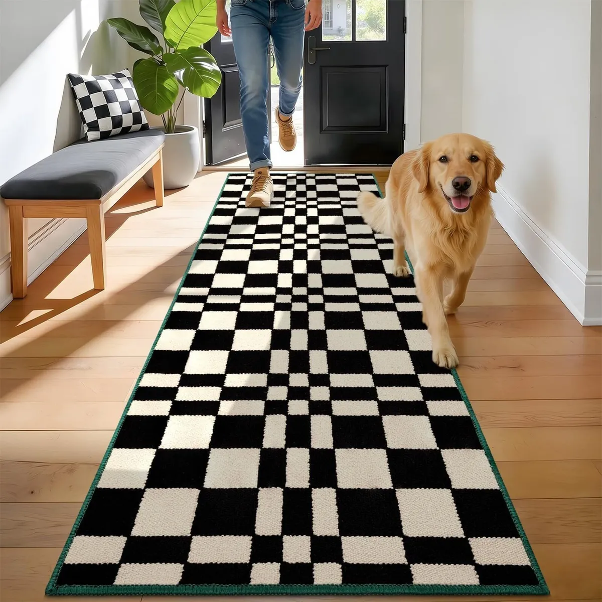 Mat Indoor Doormat Washable Dirt Trapper Non-Slip - Image 1