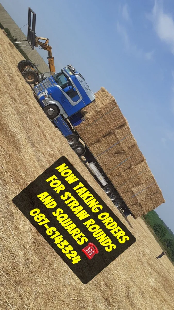 Barley straw - Image 1