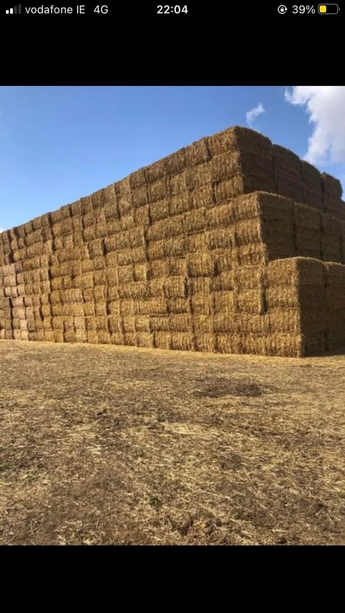 Barley straw - Image 2
