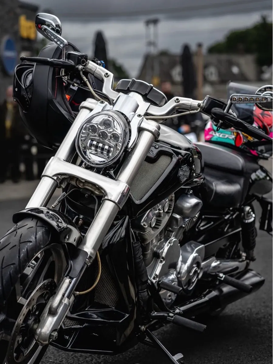 Harley Davidson v rod muscle - Image 1