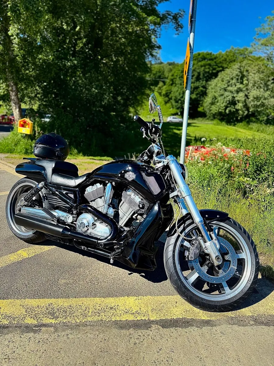 Harley Davidson v rod muscle - Image 2