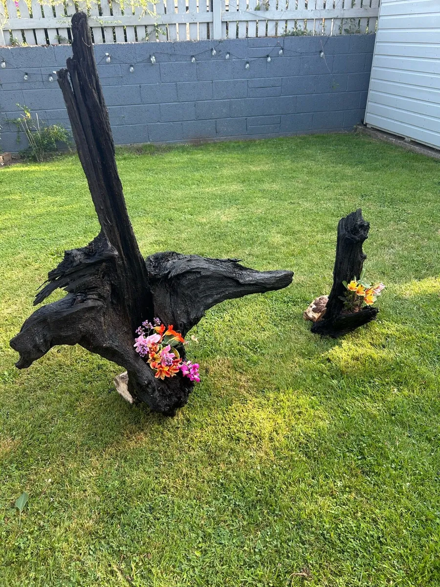 Bog oak - Image 1