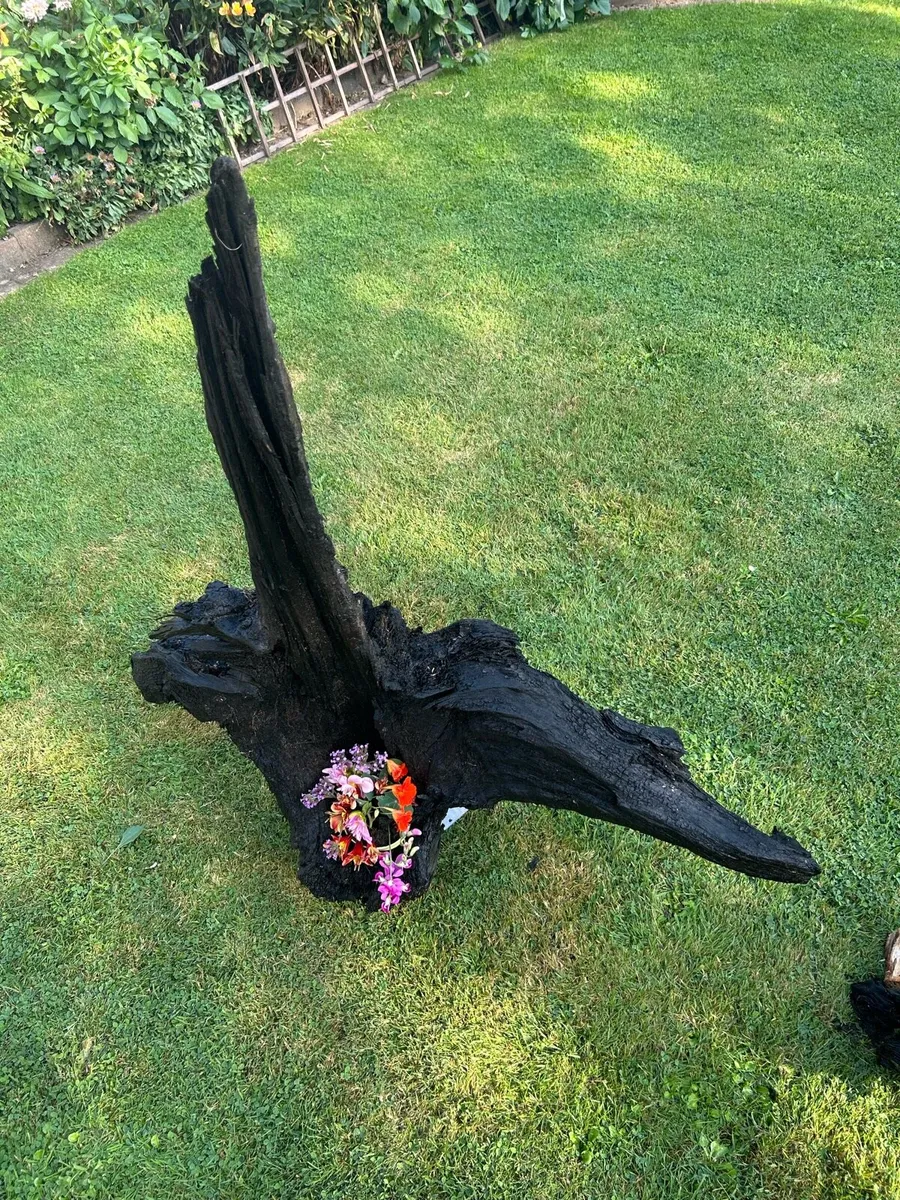 Bog oak - Image 4