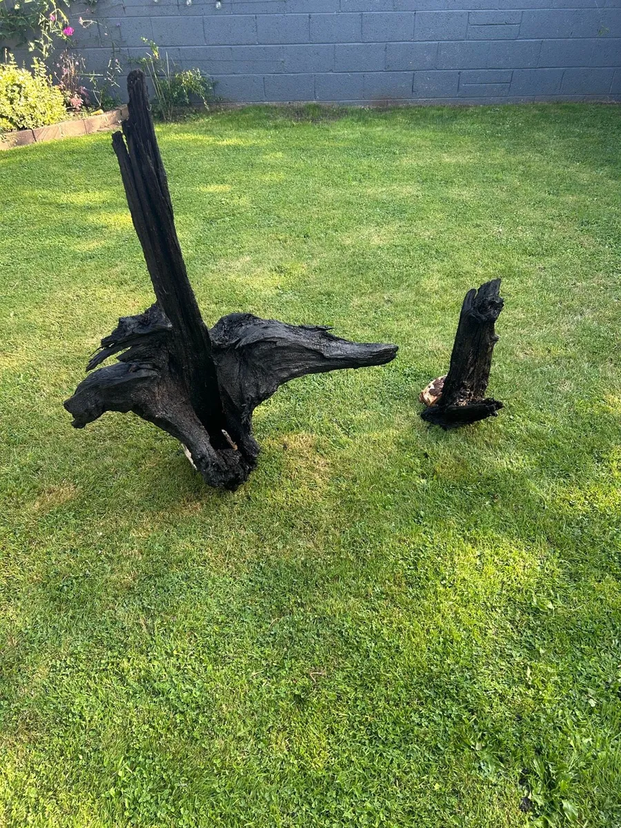 Bog oak - Image 3