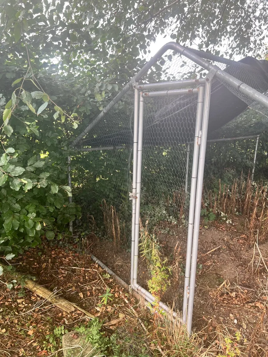 Large Galvanised Poultry / Chicken Run - Image 1