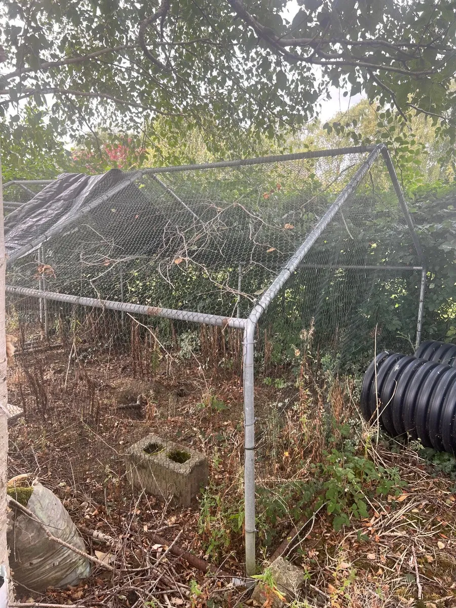 Large Galvanised Poultry / Chicken Run - Image 2
