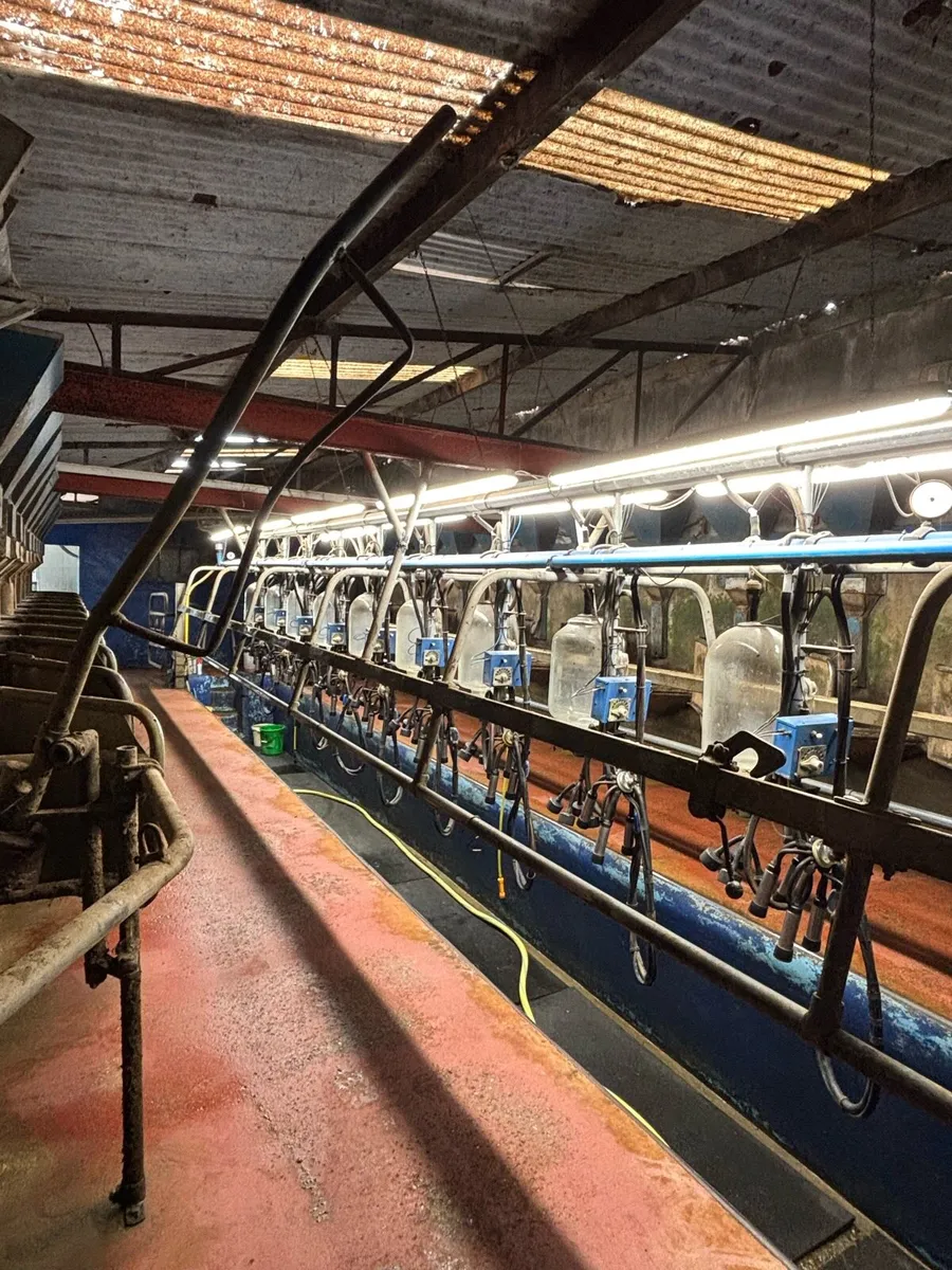 Milking Parlour - Image 1