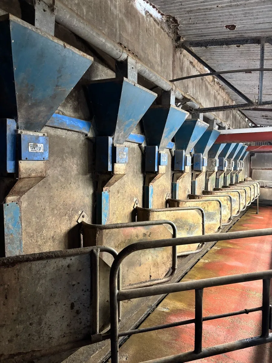 Milking Parlour - Image 2