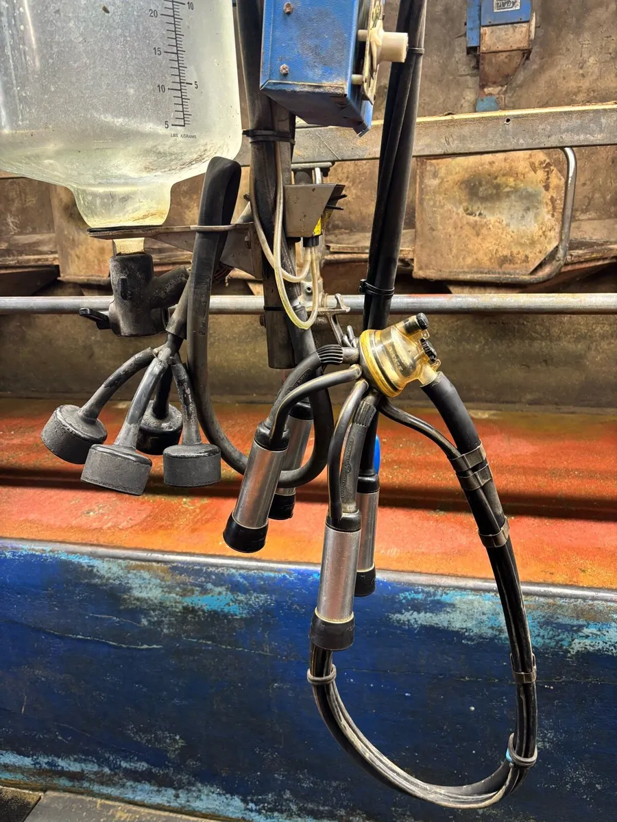Milking Parlour - Image 3