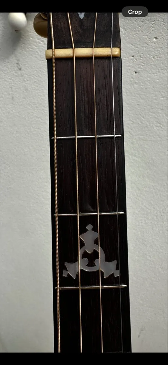 Paramount Leader Tenor Banjo - Image 4