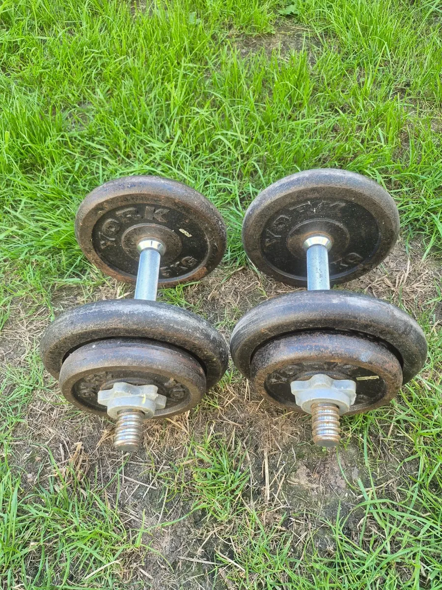 Dumbbells 2×16kg