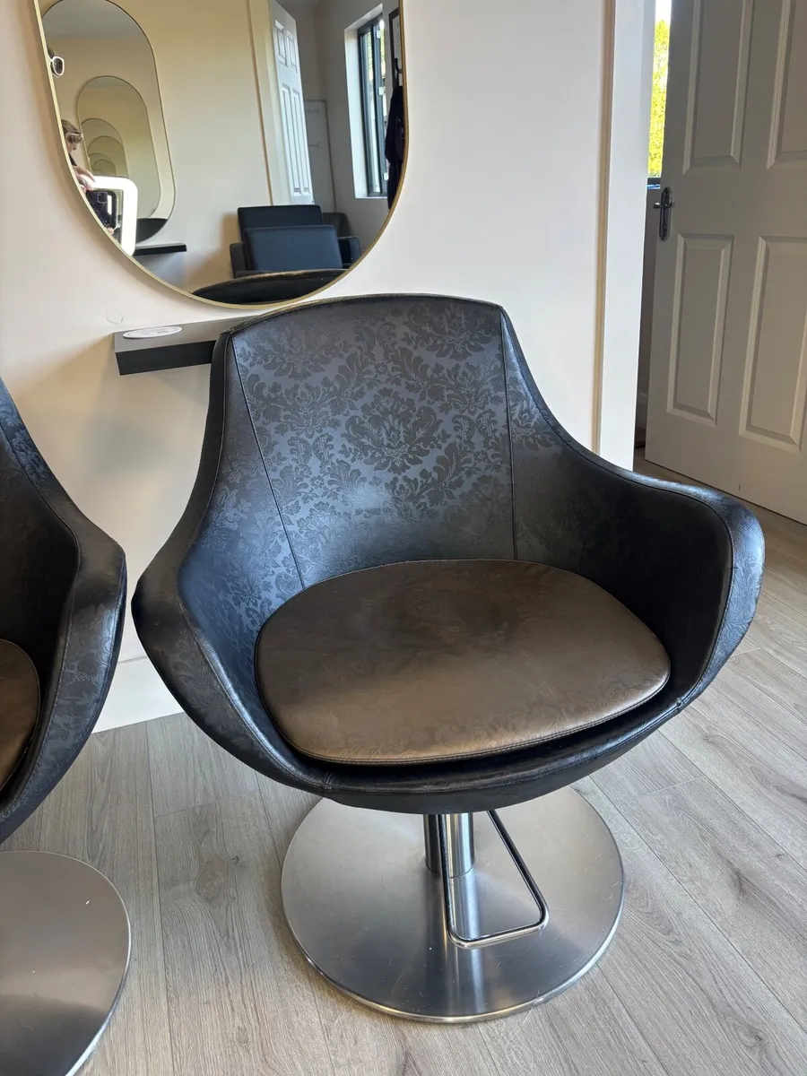 Salon chair - Image 1