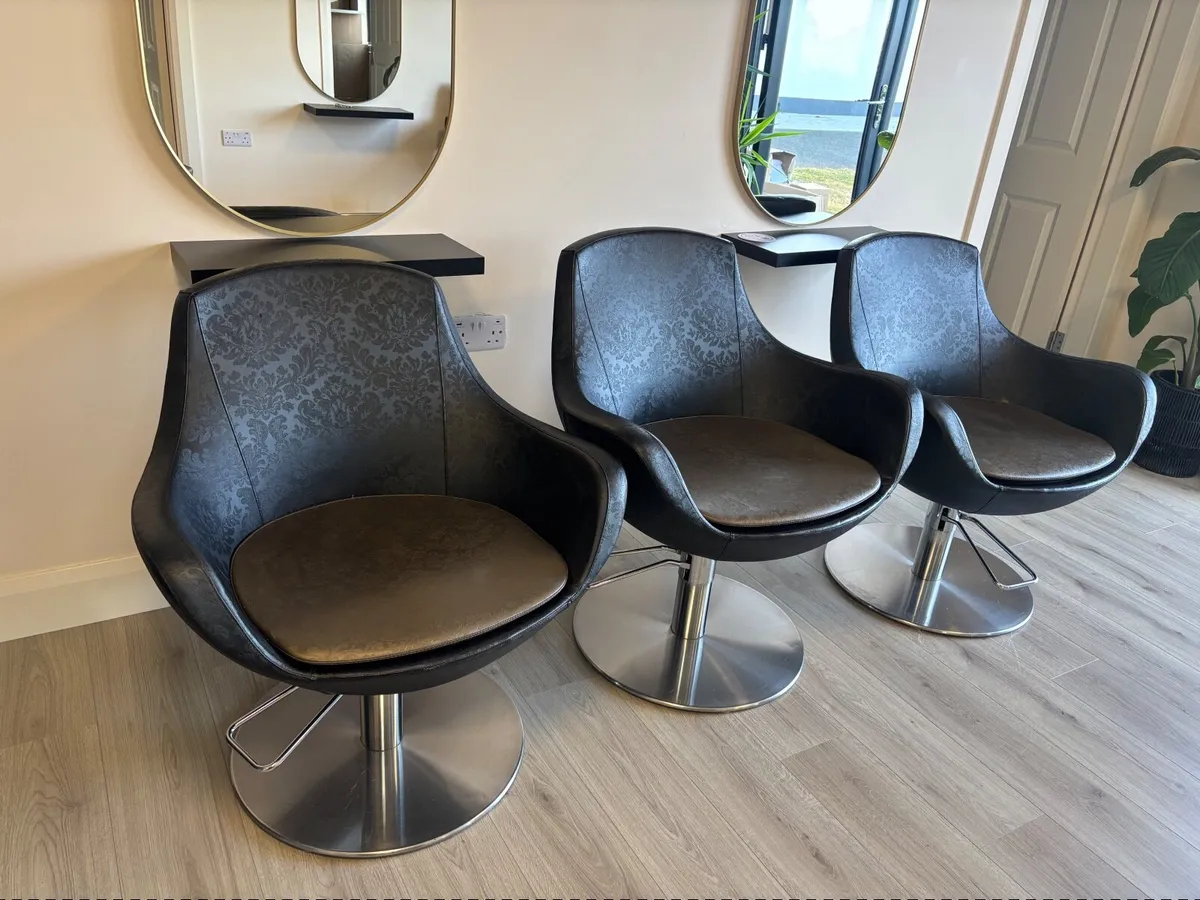 Salon chair - Image 3