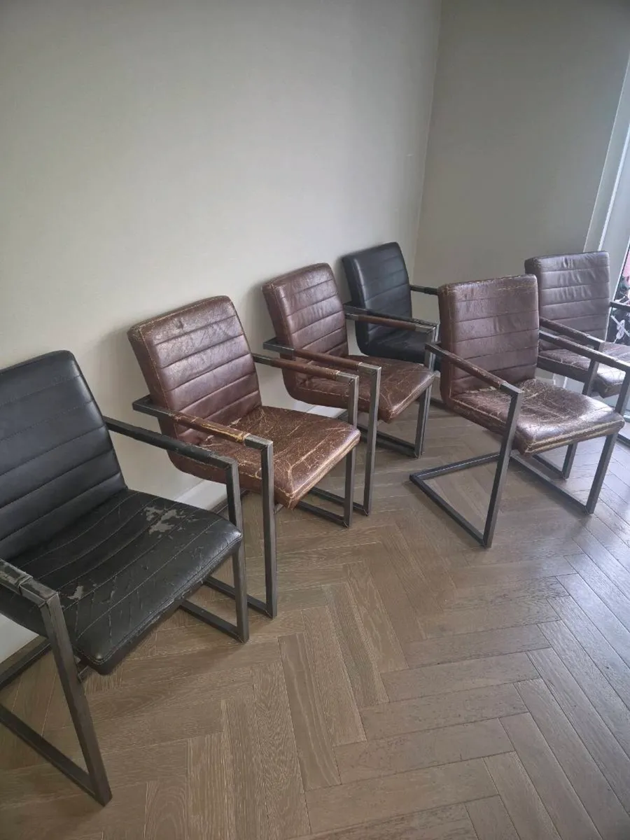 6 x Dining chairs - Image 1