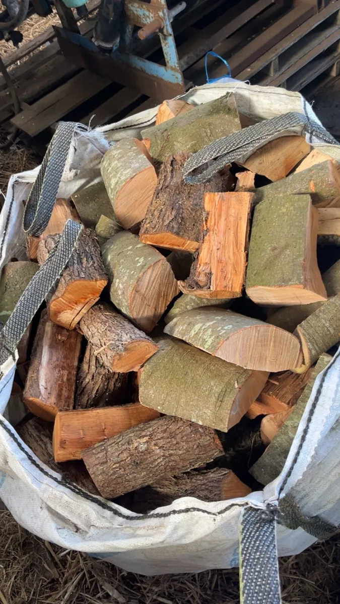 Firewood seasoned - Image 1