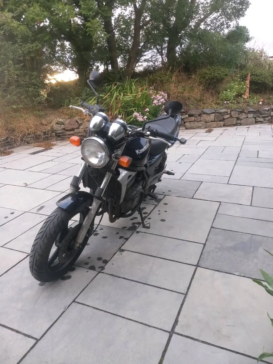 Kawasaki Er-5 - Image 4