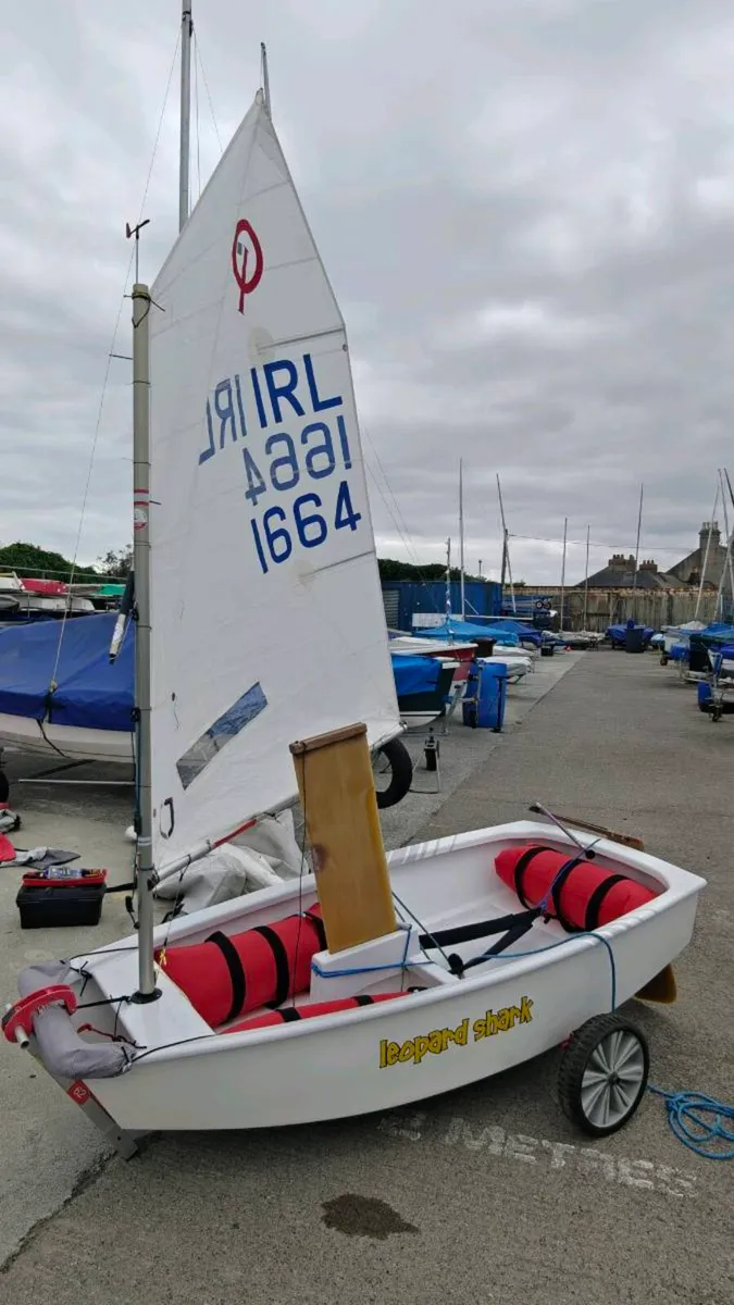Optimist Sailing Dinghy IRL 1664 - Image 3