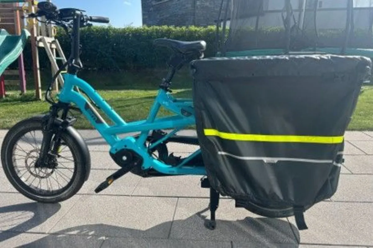 Electric family cargo bicycle - Image 1
