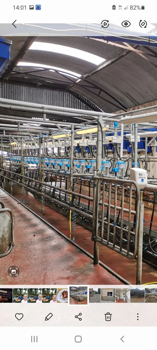 Dairy farm worker