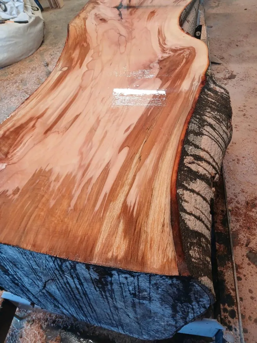 Table top slabs live edge kiln dried - Image 3