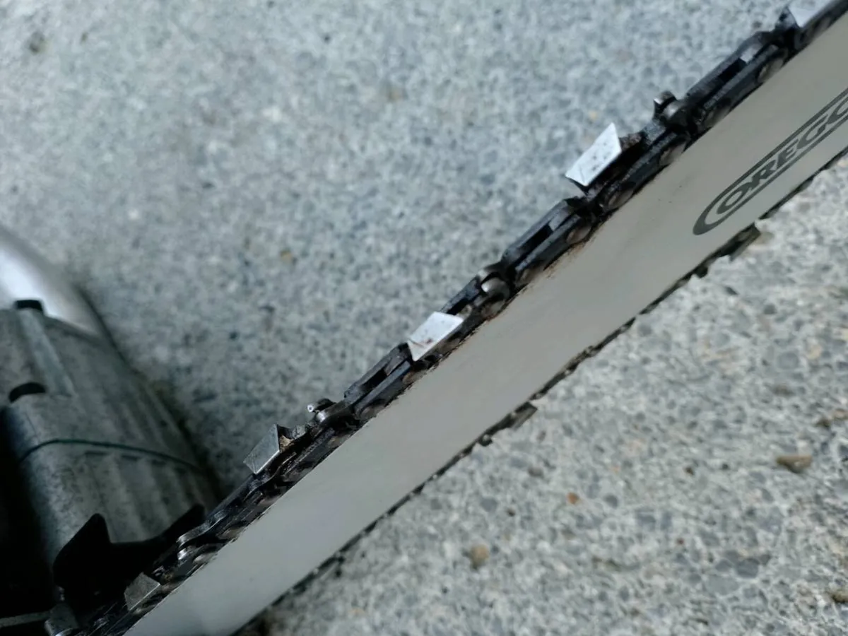 Chainsaw - Image 3