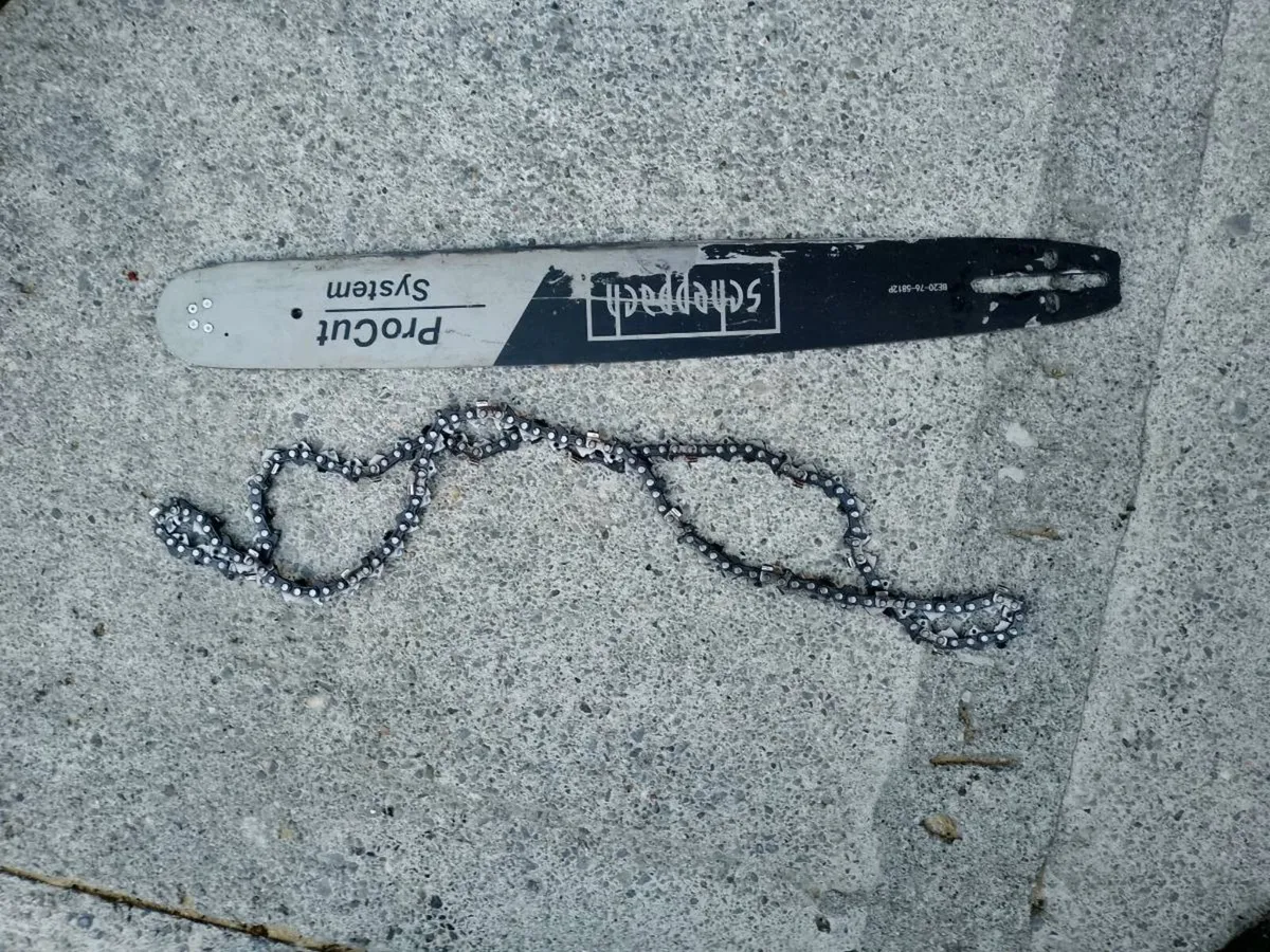 Chainsaw - Image 4
